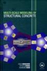 Image for Multi-scale modeling of structural concrete