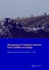 Image for Management of pollutant emission from landfills and sludge: selected papers from the International Workshop on Management of Pollutant Emission from Landfills and Sludge, Kazimierz Dolny, Poland, 16-19 September, 2006