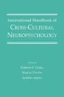 Image for International handbook of cross-cultural neuropsychology