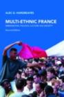 Image for Multi-ethnic France: immigration, politics, culture, and society