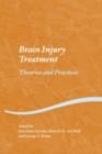 Image for Brain Injury Treatment: Theories and Practices
