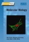 Image for Instant Notes in Molecular Biology.