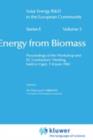 Image for Energy from biomass: 3rd E.C. Conference