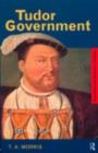 Image for Tudor government.