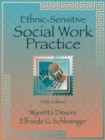 Image for Ethnic-Sensitive Social Work Practice