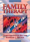Image for Family Therapy : A Systemic Integration