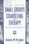 Image for Small Groups Counseling Therapy