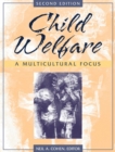 Image for Child Welfare : A Multicultural Focus