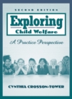 Image for Exploring Child Welfare : A Practice Perspective