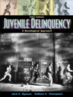 Image for Juvenile Delinquency : A Sociological Approach