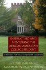 Image for Instructing and Mentoring the African American College Student