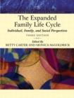 Image for The expanded family life cycle  : individual, family, and social perspectives
