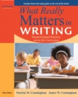 Image for What Really Matters in Writing