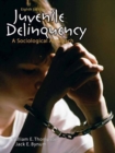 Image for Juvenile delinquency  : a sociological approach