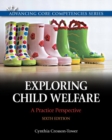 Image for Exploring Child Welfare