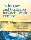 Image for Techniques and Guidelines for Social Work Practice