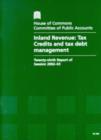 Image for Inland Revenue : tax credits and tax debt management, twenty-ninth report of session 2002-03, report, together with formal minutes, oral and written evidence