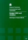 Image for Budget 2003 and aviation