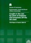 Image for Caught in the net : by-catch of dolphins and porpoises off the UK coast, third report of session 2003-04, report, together with formal minutes, oral and written evidence