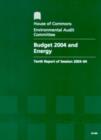 Image for Budget 2004 and energy