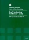 Image for Draft sentencing guidelines 1 and 2 : fifth report of session 2003-04, report, together with an annex, appendices and formal minutes