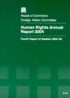 Image for Human rights annual report 2004