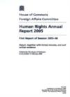 Image for Human rights annual report 2005