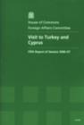 Image for Visit to Turkey and Cyprus : fifth report of session 2006-07, report, together with formal minutes