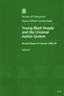 Image for Young Black People and the Criminal Justice System : Second Report of Session 2006-07 : v. 1 : Report, Together with Formal Minutes