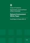 Image for Natural environment white paper