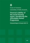 Image for Financial viability of the social housing sector