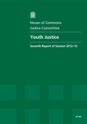 Image for Youth justice