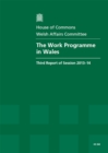 Image for The work programme in Wales
