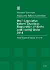 Image for Draft Legislative Reform (Overseas Registration of Births and Deaths) Order 2014