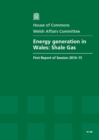 Image for Energy generation in Wales
