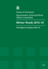 Image for Winter floods 2013-14