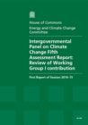 Image for Intergovernmental Panel on Climate Change fifth assessment report : review of Working Group 1 contribution, first report of session 2014-15, report, together with formal minutes relating to the report