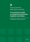 Image for Cross-border health arrangements between England and Wales