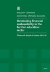 Image for Overseeing financial sustainability in the further education sector