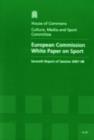Image for European Commission white paper on sport