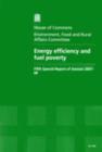 Image for Energy efficiency and fuel poverty