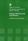 Image for Energy Efficiency and Fuel Poverty