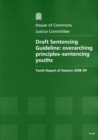 Image for Draft sentencing guideline : overarching principles - sentencing youths, tenth report of session 2008-09, report, together with formal minutes, oral and written evidence