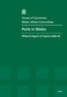 Image for Ports in Wales