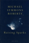Image for Raising Sparks