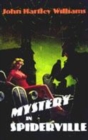 Image for Mystery in Spiderville  : a romance