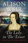 Image for The lady in the Tower  : the fall of Anne Boleyn