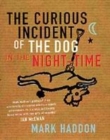 Image for CURIOUS INCIDENT OF THE DOG NIGHT TIME