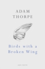Image for Birds with a broken wing