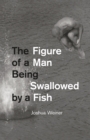 Image for The Figure of a Man Being Swallowed by a Fish